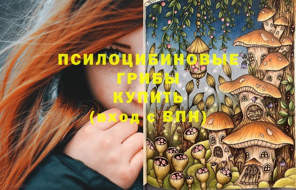 spice Елизово