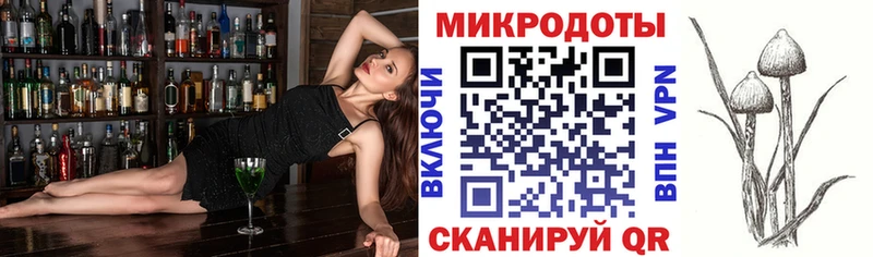 Псилоцибиновые грибы Psilocybine cubensis  Купить  Фурманов 