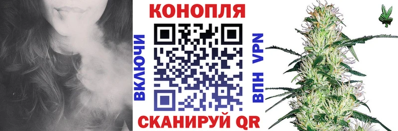 Шишки марихуана OG Kush  Купить  Фурманов 